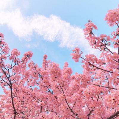 钱逸清